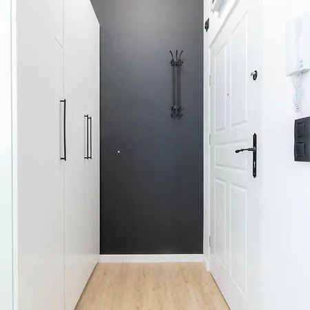 Apartment In The Center *