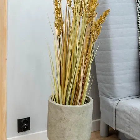 Apartment In The Center Poznan