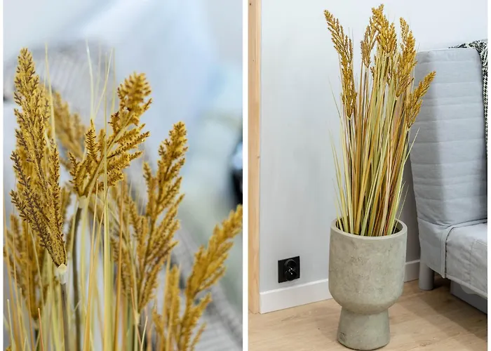 In The Center * Poznan