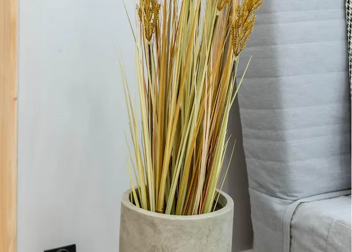 Apartment In The Center Poznan